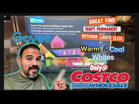 costco govee|More.